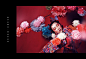 花開 : 花開的漂亮，蝴蝶自然來，Photography : Alexander SupertrampStyling & MakeUp : Halu HuangHair : 翁與盛Lighting : A Yuan Chang Model : 蕭堯Special Thank : Yan Yan