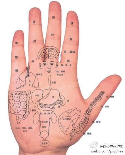 【从“手”看健康】1、手感热：主心肾阴虚...