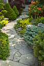 Flagstone path  石板路
A natural flagstone path flanked by dense plantings makes for a welcoming entrance. 
一条天然的石板路，两侧种植着茂密的植物，成为一个受欢迎的入口。 
