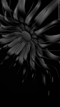 #black #flower