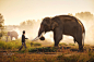 Elephant and Mahout in Surin,Thailand. by Aroon Ph on 500px