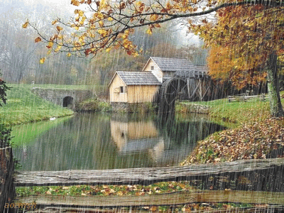 老屋，池塘，青石板小路，落叶，在秋天的绵...