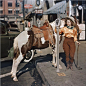 Nat Geo Image Collection 在 Instagram 上发布：“Do you know what year this photo of a #cowgirl paying a parking meter to hitch her #pony was published in National Geographic magazine?…”