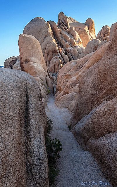 Slot Canyon - Joshua...