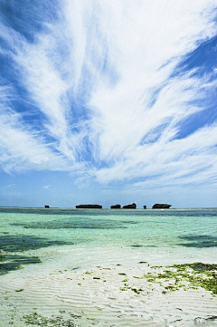 墨羽翼采集到风景如画