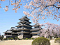 Japan Japanese architecture castles cherry blossoms wallpaper (#506916) / Wallbase.cc