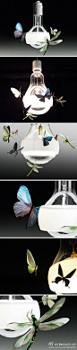 蝴蝶飞舞灯——美国艺术家 Graham Owen 创作了一款名为 Johnny B. Butterfly 的吊灯，以新颖的装饰概念及精良的手工艺技术，赋予钨丝灯泡新的生活惊喜。由 Graham亲手制作的蝴蝶及蜻蜓等昆虫附在 Teflon 外环之上作为点缀，带来了更丰富的色彩美之余，还简单直接地让照明回到最自然的感觉。