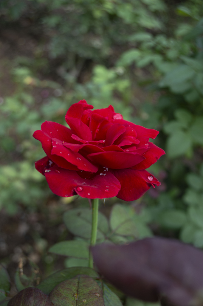 f3d7bdf89f931f5ecde7143dcdd1e90e5788ceea58520-rPUZHD