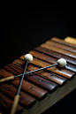 Xylophone