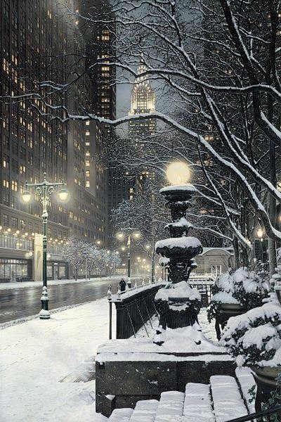纽约下雪