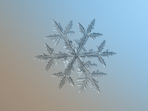 f426eac61d5bacc2feca651ab1ec056ceb976286100ea-BKsMBH