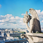 巴黎圣母院顶上 望着铁塔思考的小怪兽