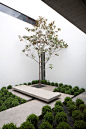 Small courtyard with tree and concrete slabs and bench. The Casa Ovalle Salinas by Jorge Figueroa Asociados.