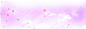 粉色紫色花瓣天空背景 页面网页 平面电商 创意素材