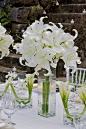 婚礼桌花-自然的白色同绿色布置出的清新纯洁餐桌
