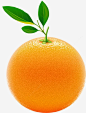 橙子新鲜香橙橘子免抠png素材_新图网ixintu.com