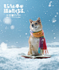 2012 冬/図書カード/poster