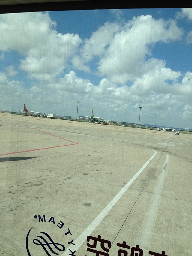 回家了，浦东国际机场,一棵树qiqi