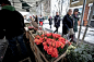 哥伦比亚路周日花市 Columbia Road Flower Market