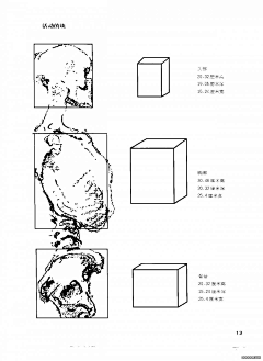 Ni懂否采集到伯里曼人体结构