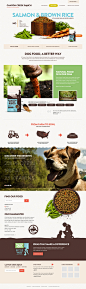 pet food #website. #webdisign #inspiration #organic #food #pet #dog #cat