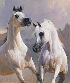 Arabian horse painti...