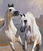 Arabian horse painting by Peter Smith - Oil on canvas