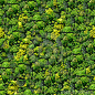 forest-seamless-pattern-view-above-13830390.jpg (400×400)