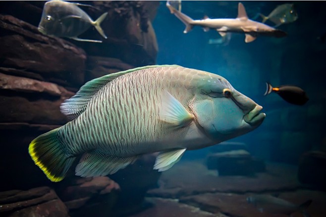 柏林动物园 水族馆