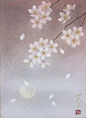 #片刻、宁静#© 高木かおりKaori Takagi。花の影 | 一个人的马戏团