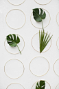 Rings and leaves are the perfect combination to create the most elegant and simple backdrop