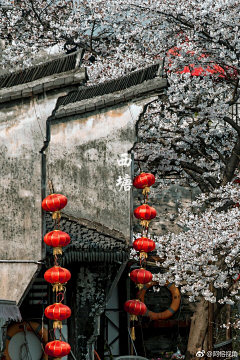 天空瓦蓝瓦蓝采集到艺术-水墨中国