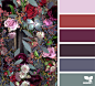 flora palette