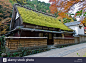 Stock Photo - Japan Kansai Sagano suburb of Kyoto traditional style thatched roof farm houses minka moss covered on narrow lane : Download this stock image: Japan Kansai Sagano suburb of Kyoto traditional style thatched roof farm houses minka moss covered