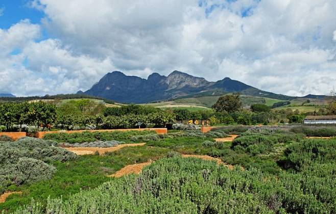 babylonstoren wine f...