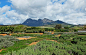 babylonstoren wine farm