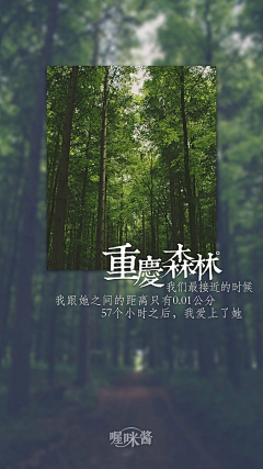 无声summer采集到孤单没有什么不好【孤独绘】