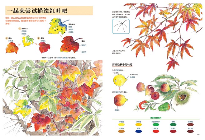 轻松唯美，畅销10年，最受欢迎的日式水彩...