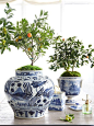 I love the mossy tops on the pots. (Chinoiserie Chic: Sunday Inspiration): 