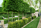 景观绿化设计实景样图4500例丨植物绿篱参考素材-淘宝网
