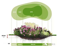 绿蔷美荷采集到社区共建花园