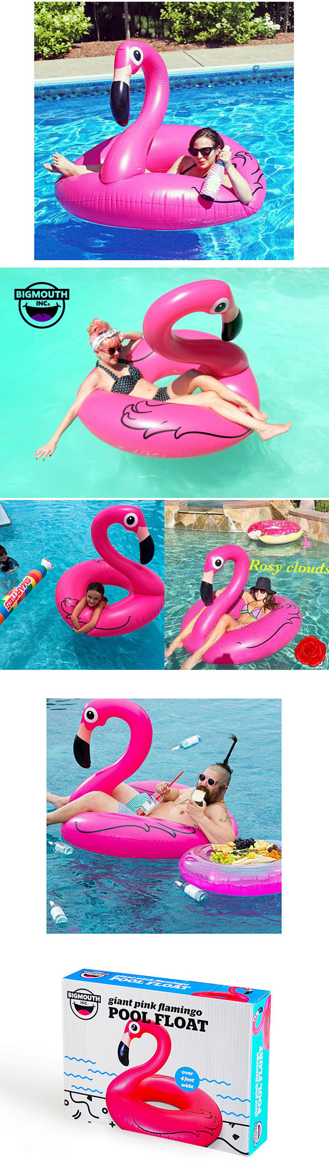 Flamingo swimming ri...
