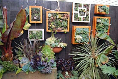 超2013采集到植物艺术系