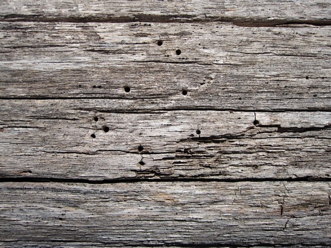 wood, texture, trees