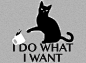 I Do What I Want T-Shirt | SnorgTees // cat knocking over coffee mug. Very smug cat tee.: 