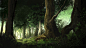 General 1920x1080 digital art artwork painting forest trees branch tree trunk Alex van der Linde grass