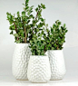 Punch Texture Stoneware Vase Trio by funsize ceramics on Scoutmob Shoppe: 