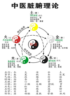 huaban120308采集到音乐、电影、图书