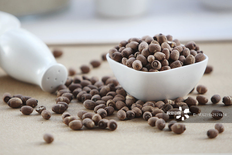 f55ace89077918e9f69bf5ec3510be15484698bb17cab-lHRm6m