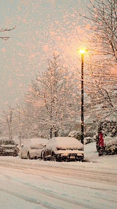 摄影者郑洳亚采集到雪景图